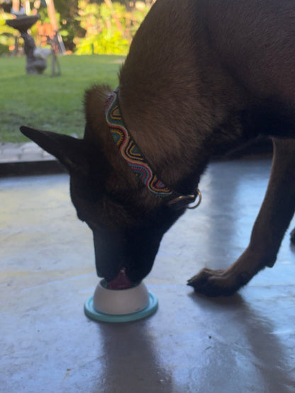 Pawnest™ Treat & Clean Lick Ball — Dogs