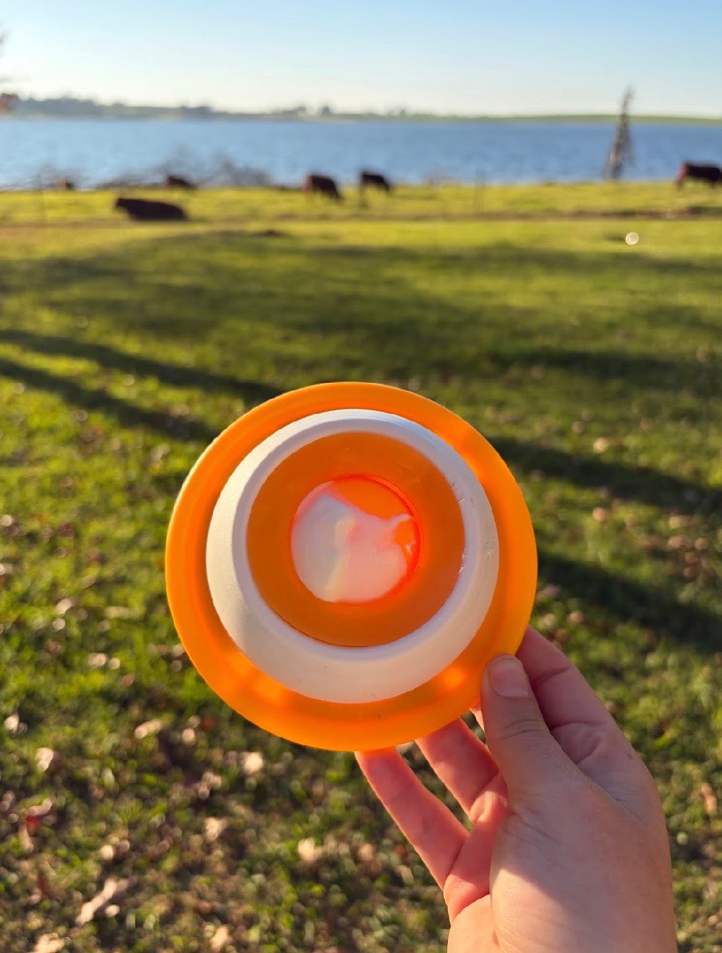 Pawnest™ Treat & Clean Lick Ball — Cats
