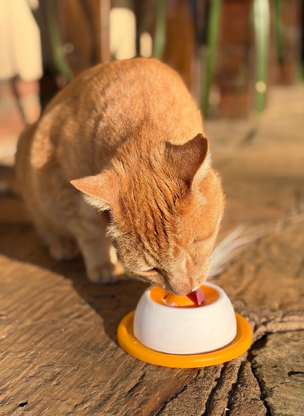 Pawnest™ Treat & Clean Lick Ball — Cats