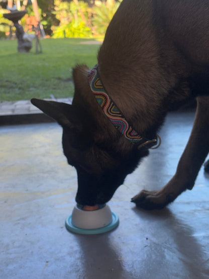 Pawnest™ Treat & Clean Lick Ball — Dogs