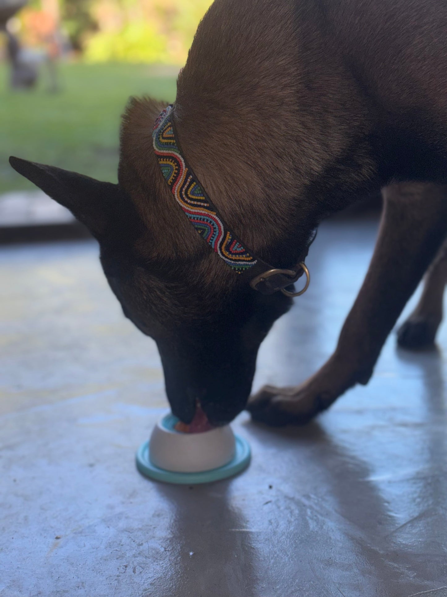 Pawnest™ Treat & Clean Lick Ball — Dogs