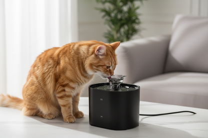 Cat drinking fresh filtered water from Pawnest™ Aqua automatic pet water fountain
