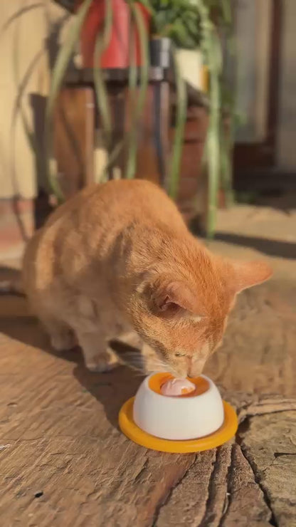 Pawnest™ Treat & Clean Lick Ball — Cats